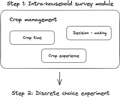 Intra-household discrete choice experiment for trait preferences: a new method